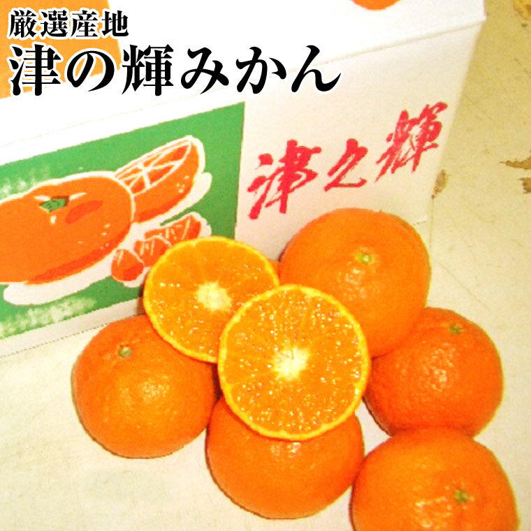 ご家庭用！訳ありB級【津の輝】【つのかがやき】みかん約5K箱 津の輝 つのかがやき 柑橘 みかん 果物 フルーツ 旬 ⇒送料無料のサムネイル