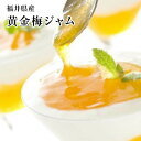 【完熟黄金梅使用】そのまま【黄金梅ジャム】《金ノ梅》100g瓶入り×3本【南高梅・青梅・ 完熟梅】