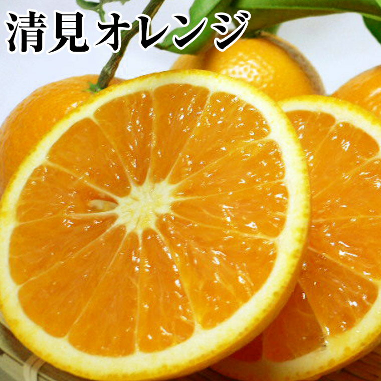 【清見オレンジ】L・2Lサイズ　約10K箱和歌山県産他⇒送料無料