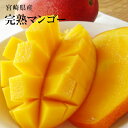 送料無料 国産マンゴー大玉2Lサイズ1玉・2玉・3玉入り化粧箱 宮崎県産完熟高級フルーツです