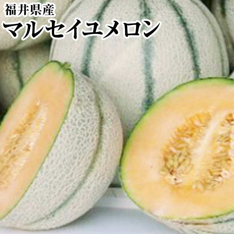 楽天市場 送料無料 赤肉メロン 福井県産マルセイユメロン花咲紅姫メロンlサイズ以上 2玉化粧箱6月中旬頃から予定赤肉メロン ギフト パ ティ ゴルフ 景品 父の日 プレゼント御中元に 福井くいしんぼ楽天市場店 みんなのレビュー 口コミ 楽天市場 送料無料 赤肉メロン 福井県産マルセイユメロン花咲紅姫メロンlサイズ以上 2玉化粧箱6月中旬頃から予定赤肉メロン ギフト パ ティ ゴルフ 景品 父の日 プレゼント御中元に 福井くいしんぼ楽天市場店 みんなのレビュー 口コミ