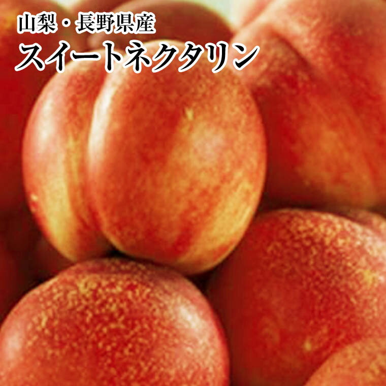 【ネクタリン】【スィ−トネクタリン】　約500gパック×4パック箱　約2K箱山梨・長野産【送料無料】