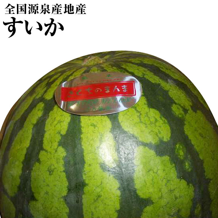 全国から旬の先取り！すいか 西瓜大玉1玉化粧箱 　Lサイズ以上　熊本・群馬・福井・長野厳選産地産　夏の贈り物　全国厳選産地 スイカ ..