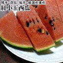 紅小玉西瓜1玉・2玉化粧箱 JA 熊本 群馬 福井 地厳選産地 送料無料小玉西瓜 小玉すいか スイカ 西瓜 全国から旬の先取り! プレゼント 母の日 父...