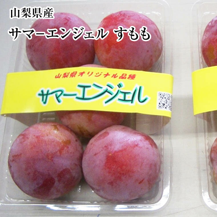 山梨県産【サマ−エンジェル】すもも　中11玉〜13玉化粧箱送料無料