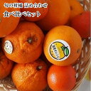 ◆B級のため、若干キズがあります。また日々入荷するものをお詰めするため、品種はお選びいただけません。お任せください！！ ■農産物の為、配送のご指定を頂きましても ご希望に添えない場合がございますので、何卒ご了承下さい。