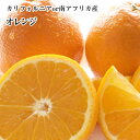 年間この価格！！【オレンジ】10個入り送料無料　ネーブルオレンジ・バレンシアオレンジ