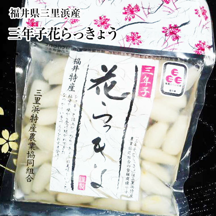 ●福井の【花ラッキョウ】は？全国唯一の【三年子】栽培形態です。厳しい冬を2回越し、収穫されるので、身が引き締まり、繊維も細かく、他県の物では味わえないソフトな食感ながら、シャキシャキの歯ごたえです。また、砂地で栽培されている為、色白で、美しいのが特徴です。【血をサラサラにする！】効果があり1日5〜6粒食べましょう！ 内容量　 80g 賞味期限 3ヶ月(未開封) 保存方法 10℃以下で保存。開封後は冷蔵庫にて 原材料 らっきょう・酢・砂糖・食塩 商品説明 福井県坂井市三国町三里浜の特産品であるらっきょうを使った酢漬です。R3・7/10日放映！日本テレビ「満天☆青空レストラン」にて紹介！！ 6月24日放映！ニュースザウルスふくい「食探いろどりレシピ」で歯触りのよさを生かした、らっきょうが主役になる料理を紹介！！