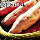 ★さつまいも 福井 特産 富津 とみつ金時さつまいも 約1K 越前 えちぜん 焼き芋 煮物 スイートポテト 芋菓子 栗きんとん スイーツ お菓子 お試し 企画！ ホクホクの美味しさ