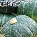 輸入 かぼちゃ【2玉】 約2kg 【5~7玉箱】約10kg 送料無料 ホクホクのかぼちゃ!えびす南瓜 栗かぼちゃ
