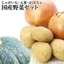 野菜 国産野菜 セット 約5K詰 じゃがいも 2K ＆ 玉葱 2K ＆ かぼちゃ 大玉1個⇒ 送料無料 シチュー スープ サラダ