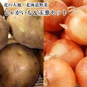 北海道 野菜セット 送料無料 約10K入り じゃがいも 5K & 玉葱 5K セット 北の大地 北海道  備蓄野菜 常備野菜 男爵 きたあかり・新ジャガイモ・新玉ねぎ