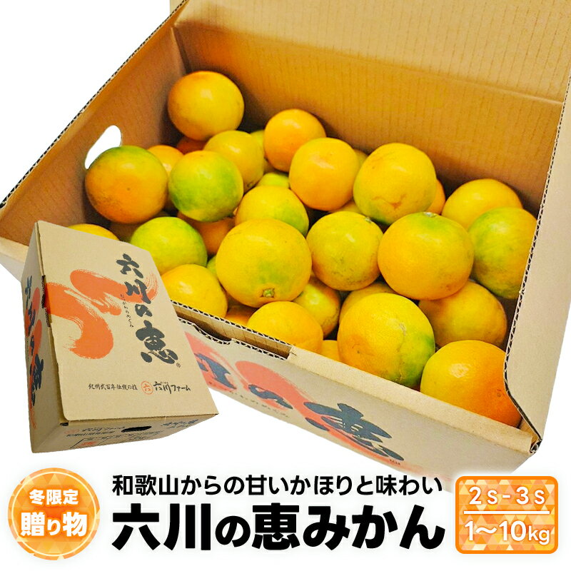 美味しい！小粒みかん　冬限定の贈り物！【六川の恵みかん】2S-3S 10kg　5kg　3kg　1kg箱送料無料　和..