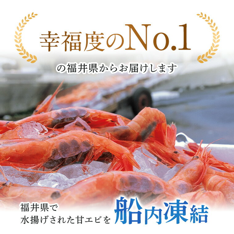 日本海の宝石！甘～い！甘～い！甘海老【お歳暮・年末年始にお勧め】送料無料 【船内氷結】子持ち越前甘えび　中サイズ500g入り 海の幸　敬老の日　御歳暮　御中元　お正月　御年始、御年賀、内祝、御祝、刺身・天ぷら・日本料理