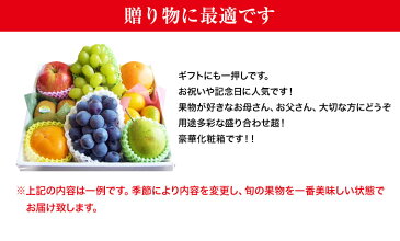 食の宝石箱　【A-2】特選果物ギフト7〜8種化粧箱《果物 詰め合わせ》《フルーツ 盛り合わせ 》《法事 お供え 》《敬老の日》多種ギフトに最適！【お盆】【御中元・御歳暮！お祝い！お年始！】 【フルーツセット】【送料無料】