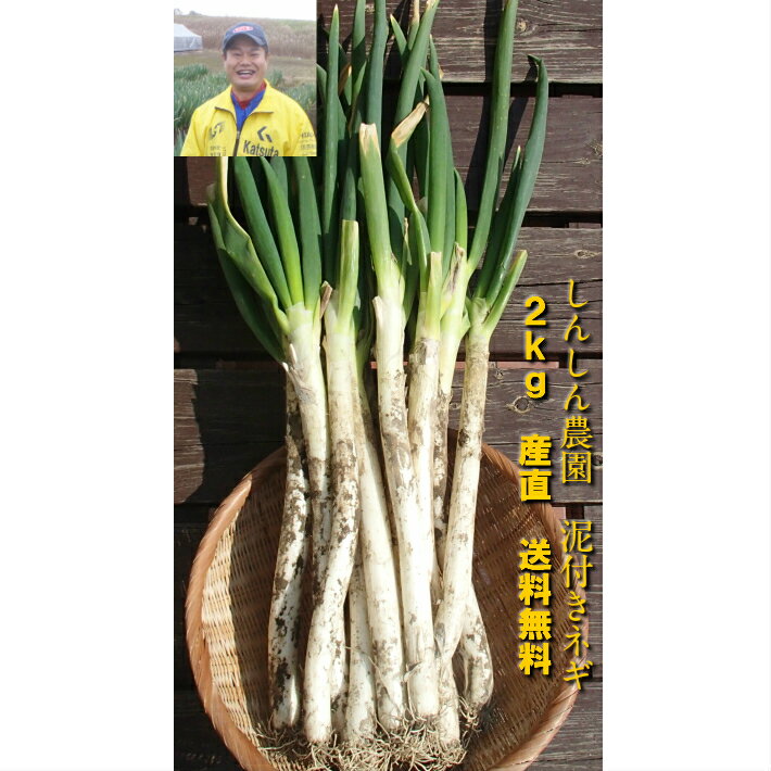 エコファーマー認定　安全　茨城県 ひたちなか市 国産 産直 泥付き 土付き　野菜 青み　白ネギ　シロネギ　白葱　長ネギ　長ネギ　長葱　ネギ ねぎ　葱 お試し　2kg 送料無料