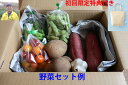 野菜　セット　福袋　農家　産直　