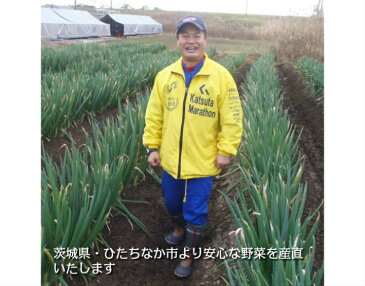 エコファーマー認定　安全　茨城県 ひたちなか市 国産 産直 泥付き 土付き　野菜 青み　白ネギ　シロネギ　白葱　長ネギ　長ネギ　長葱　ネギ ねぎ　葱 お試し　2kg 送料無料