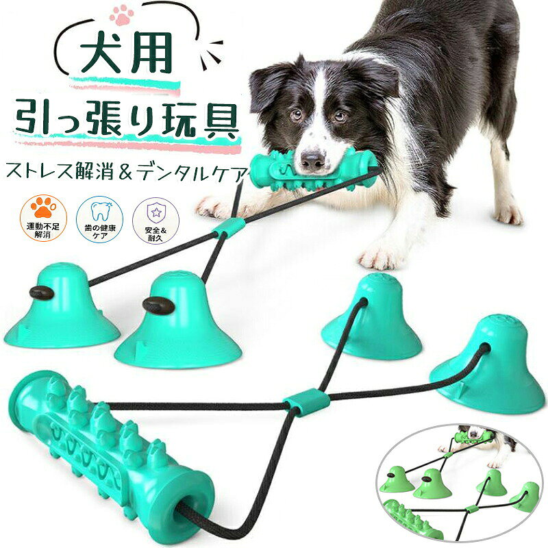 犬 おもちゃ 吸盤 噛むおもちゃ 引っ張り ストレス解消 運動不足解消 デンタルトイ 歯磨き効果 留守番 トレーニング 小型犬 中型犬 大型犬 強力吸盤 耐久ロープ 遊び グッズ　犬玩具　犬知育おもちゃ