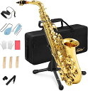 EASTARサックスアルトサックスEBSAXOPHONEゴールドラッカーサクソフォンケース付きお手入れセットサックス初心者AS-II(2)