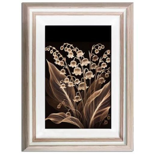 黒背景の暗闇の中で浮かび上がる植物アート作品–20.3x15.3cm鏡面フレーム付き、現代インテリア装飾画