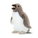 カロラータイワトビペンギンぬいぐるみ(ヒナ/やさしい手触り)リアルペンギン赤ちゃんおもちゃお人形ギフトプレゼント誕生日(検針2度済み)/クリスマスクリスマスプレゼント