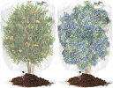 JUTOSU防虫ネット植物保護カバー2個セット防鳥ネット景観樹木防虫ネット巾着式園芸ネット花果防虫ネット透明通気性菜園盆栽花壇適用プランター野菜栽培直射日光防止...