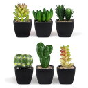 あミューズNATURALGARDENフェイクグリーン多肉植物人工観葉植物手入れのいらないインテリア6種セット