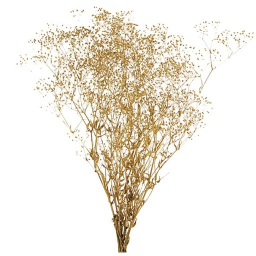 大地農園プリザーブドフラワースーパーソフトミニカスミ草ゴールド約L50cm21g入DO000020-902
