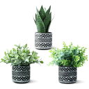MOSADEフェイクグリーン光触媒3点セット人工観葉植物【セージ+サンスベリア+ユーカリ】ミニインテリアグリーン小さい造花卓上世話いらず水やり不要オフィスホーム...