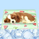 ペットひんやりマット犬猫【サイズ:M-L】ペット用クールジェルマット犬猫夏用ひえひえ爽快冷却マット冷感ジェルマット可愛いひんやりシート多用途クールジェルマットペ...