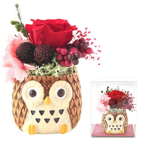 おいもやギフト花プリザーブドフラワー誕生日プレゼントふくろう薔薇ギフト茶色