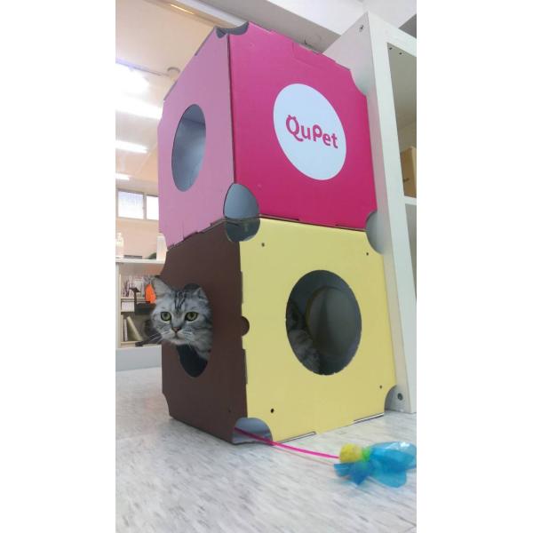 【在庫限定】Candy House (Cherry/berry)猫ハウス キャットタワー 猫用 ダンボール ベッド SOY INK印刷 組み合わせ自由 ペットハウス 1個【12時迄のご注文で当日発送！】