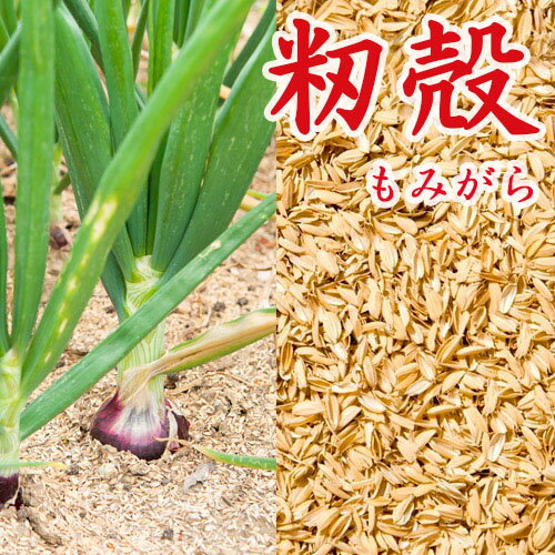 【 籾殻 もみがら 150リットル 】 約10kgx2袋 土壌改良 家庭菜園 畑 保温 保湿 除草 緩衝材 信州 長野県産 もみ殻 モミ