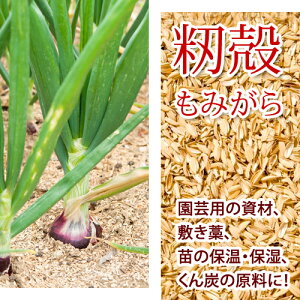 すりたて【 籾殻 もみがら 750リットル 】 75リットルx10袋 土壌改良 家庭菜園 畑 保温 保湿 除草 緩衝材 信州 長野県産 もみ殻 momigara