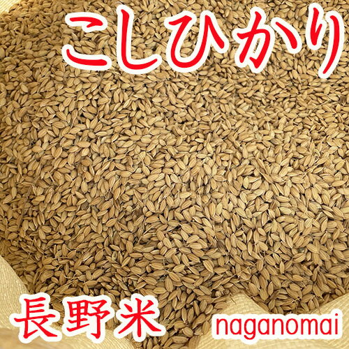 新米！【 もみ米 10kg 】長野県産 こしひかり 2023年産 保存米 もみ 籾米 モミ 信州産 長野米 kome momi 3