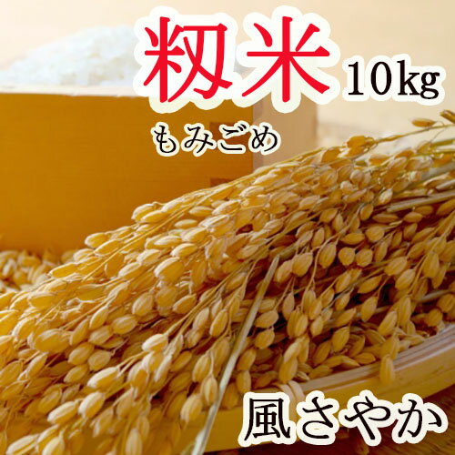 新米 【 もみ米 10kg 】長野県産 風さやか 2023年産 保存米 もみ 籾米 モミ 信州産 長野米 kome momi