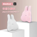 【スーパーSALE400円値下げ】Gadeel 腰クッション 可愛いウ...(3)