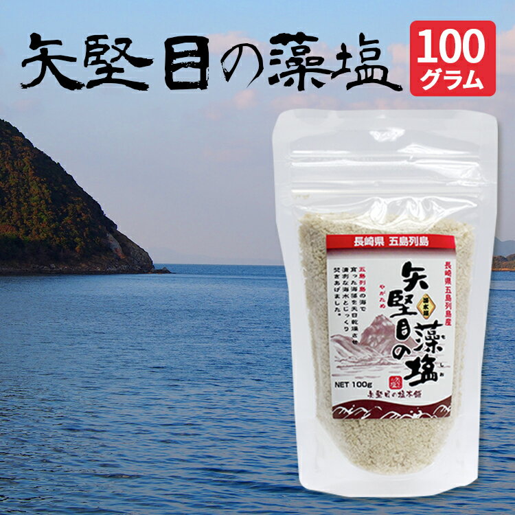 矢堅目の藻塩 100g 食塩【送料無料】長崎県五島近海の海水 海藻 ひじき 調味料 粗塩 海水塩 釜焚き塩 平釜製法 無添加