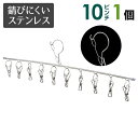 絡みにくく錆びにくいステンレスピンチハンガー フラットタイプ 10ピンチ (さびにくく紫外線劣化による割れなども起きにくいピンチハンガー) 洗濯ばさみ ランドリー 部屋干し 外干し 屋外 省スペース 便利 グッズ アイテム 防風 小物 靴下 ハンカチ タオル