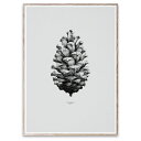 Paper Collective (ペーパーコレクティブ) ポスター パインコーン グレー (50×70cm) アートプリント 北欧 北欧インテリア おしゃれ ...