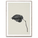 Paper Collective (ペーパーコレクティブ) ポスター Sabi Leaf 03 (50×70cm) アートプリント 北欧 北欧インテリア おしゃ...