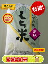 令和6年産 熊本県産 ひよくもち もち米 5kg お米 5キロ 餅米 ヒヨクモチ 白米 もち モチ こめ 米 送料無料 一部の地域を除く