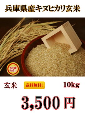 【30年産新米】只今1日10個のみの販売とさせて頂いております。毎日18時に販売開始いたします。近畿産ブレンド白米10kg （近畿産のコシヒカリが主体の規格外商品になります。）送料無料！【10P29Jul16】15時までにご注文頂ければあす楽対応!（一部の地域を除く）