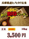 新米　最安値に挑戦！絶対お得！【R2年産】送料無料！一部の地域を除く、兵庫県産 ヒノヒカリ玄米 10kg 【お米 おこめ コメ ご飯 ごはん 美味しいお米玄米ヒノヒカリ】【お米屋しんちゃん】