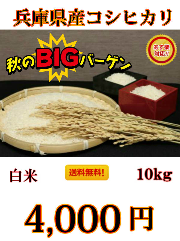 期間限定‼最安値に挑戦いたします！【令和元年産】兵庫県産 コシヒカリ 白...