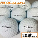 ランク2 高品質ロスト タイトリスト Pro V1 19年モデル ホワイト 20P 【送料無料】 【あす楽対応_近畿】【中古】