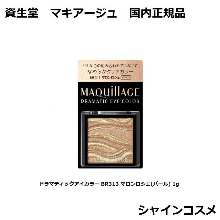 Ʋ ޥ ɥޥƥå顼 BR313 ޥ ѡ 1g ̵ SHISEIDO MAQUILLAGE 49...
