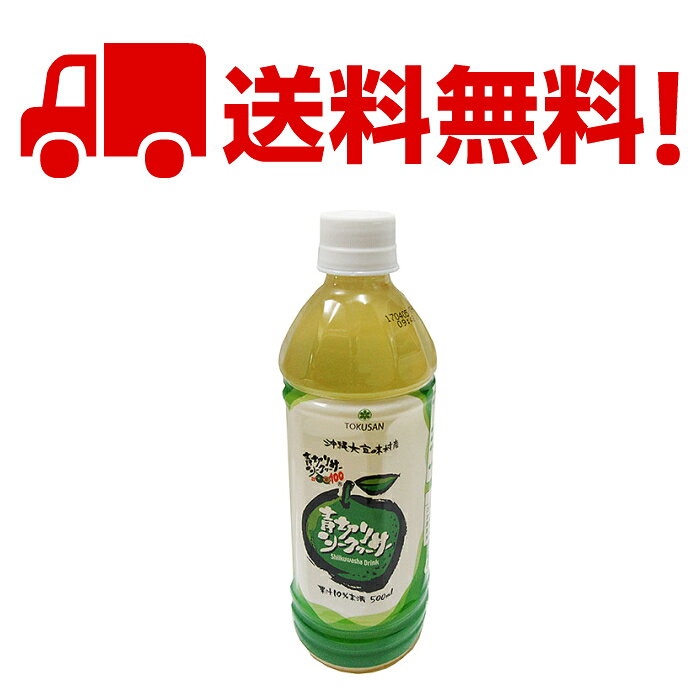 新栄商店の訳あり特売品　青切りシークヮーサーペットボトルタイプ24本セット（果汁10%）　全国送料無料｜アングル2