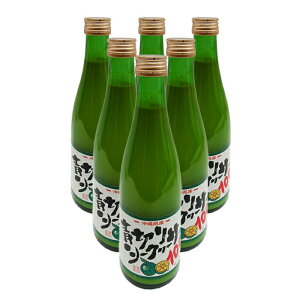 青切りシークワーサー300ml×6本 新栄商店 沖縄県産シークワーサー100%使用 全国送料無料
